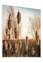 obraz-na-szkle-szklany-palka-wodna-boho-70x50