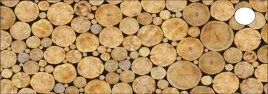 podkladka-na-biurko-micke-142x50-przekroj-drzewa