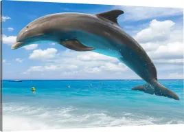obraz-na-plotnie-morze-delfin-120x80-800-wzorow
