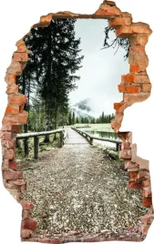naklejki-na-sciane-fototapeta-3d-dziura-691-natura