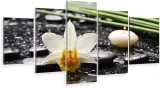 tryptyk-5-cz-na-plotnie-biala-orchidea-kwiat-zen