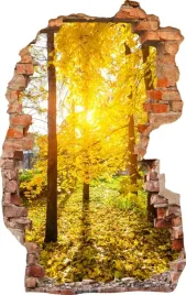 naklejki-na-sciane-fototapeta-dziura-670-las