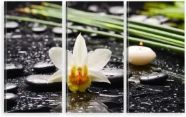 tryptyk-na-plotnie-biala-orchidea-kwiat-zen