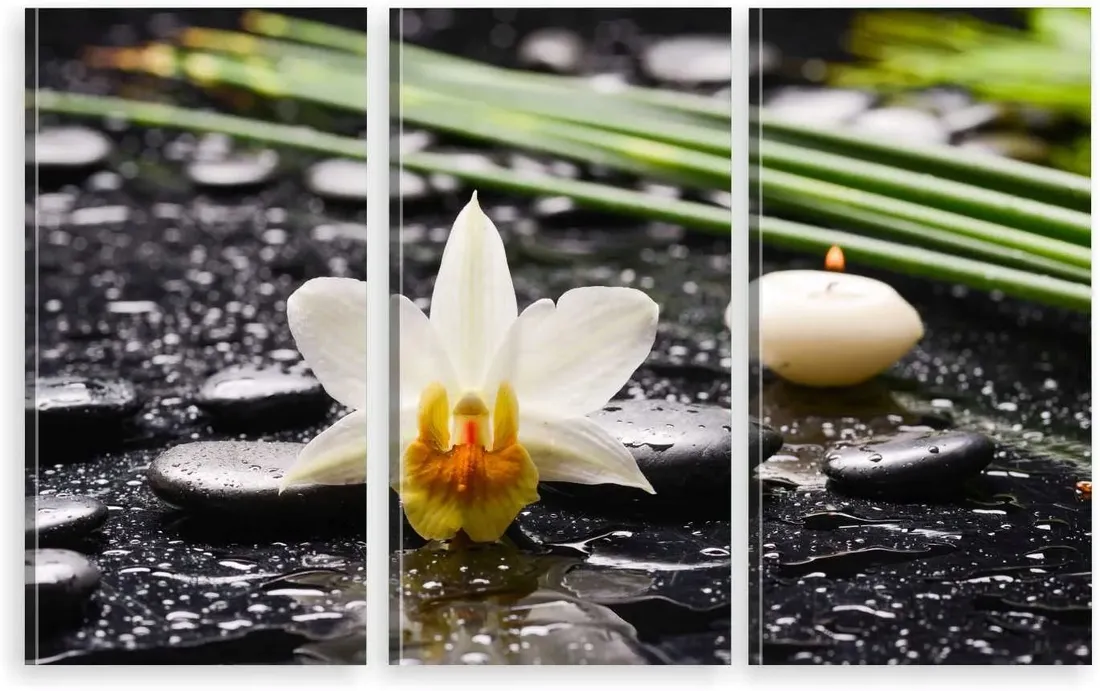 tryptyk-na-plotnie-biala-orchidea-kwiat-zen