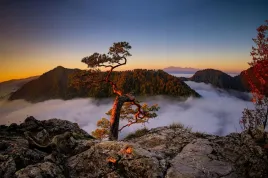 fototapeta-3d-3d-na-wymiar-do-salonu-mgliste-gory-pieniny-sosna-winylowa