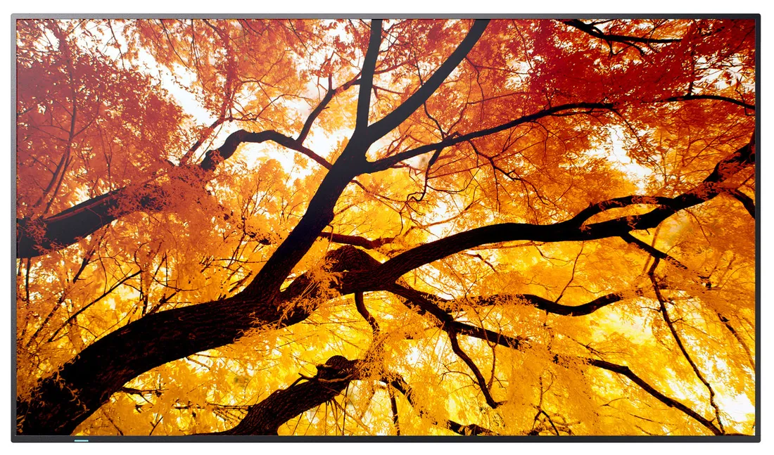 sharp-multisync-m552-plaski-panel-digital-signage-1397-cm-55-lcd-550