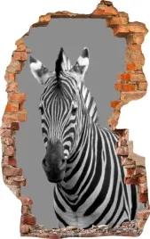 naklejki-na-sciane-fototapeta-3d-dziura-632-zebra