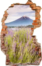 naklejki-na-sciane-fototapeta-dziura-643-wulkan