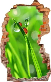 naklejki-na-sciane-fototapeta-dziura-580-biedron