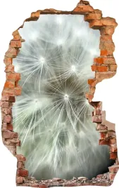 naklejki-na-sciane-fototapeta-3d-dziura-763-natura