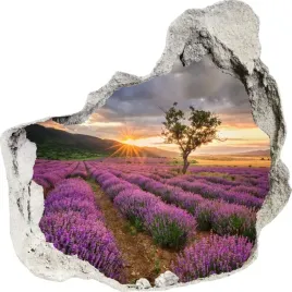 naklejki-na-sciane-scienne-3d-dziura-bez-126