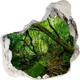 naklejki-na-sciane-scienne-3d-dziura-las-105