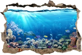 fototapeta-dziura-3d-naklejka-na-sciane-ocean-ryby