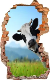 naklejki-na-sciane-fototapeta-dziura-588-krowa