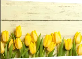obraz-na-plotnie-zolte-tulipany-110x70-800-wzorow