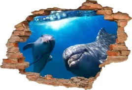 fototapeta-3d-samoprzylepna-naklejka-3d-delfin-319