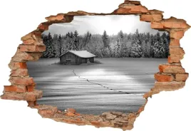 fototapeta-3d-samoprzylepna-naklejka-na-sciane-do-salonu-domek