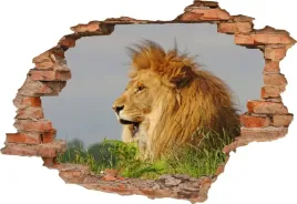 fototapeta-3d-samoprzylepna-naklejka-scienna-lew-krol-dzungi