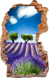 naklejki-na-sciane-fototapeta-3d-dziura-703-kwiaty