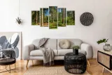 tryptyk-5-cz-na-plotnie-panorama-lasu-las-drzewa-sposob-wykonania-druk-cyfrowy