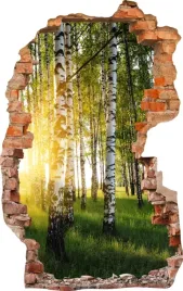 naklejki-na-sciane-fototapeta-3d-dziura-536-las