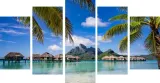 tryptyk-5-cz-na-plotnie-bora-bora-palmy-ocean-stan-nowy