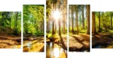 tryptyk-5-cz-na-plotnie-promienie-slonca-drzewa-stan-nowy