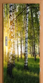naklejka-na-drzwi-samoprzylepna-las-brzozowy