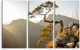 tryptyk-na-plotnie-sokolica-pieniny-polskie-gory