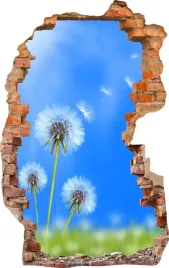 naklejki-na-sciane-fototapeta-3d-dziura-657-natura