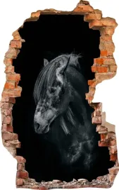 naklejki-na-sciane-fototapeta-3d-dziura-520-kon