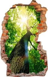 naklejki-na-sciane-fototapeta-3d-dziura-565-drzewo