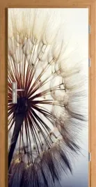 naklejka-fototapeta-na-drzwi-dmuichawiec-dmuchawce