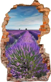 naklejki-na-sciane-fototapeta-dziura-633-kwiaty