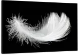 elegancki-obraz-na-plotnie-100x70-biale-piorko