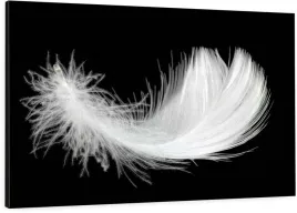 elegancki-obraz-na-plotnie-100x70-biale-piorko
