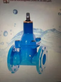 zasuwa-kolnierzowa-dn-80