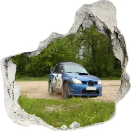 naklejki-na-sciane-scienne-3d-dziura-auto-60