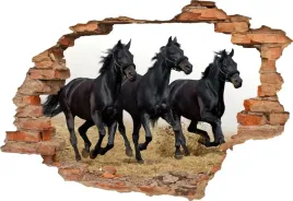 fototapeta-3d-samoprzylepna-naklejka-scienna-czarne-konie-w-galopie