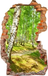 naklejki-na-sciane-fototapeta-dziura-747-las