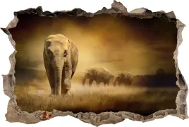 naklejki-na-sciane-fototapeta-3d-dziura-slon