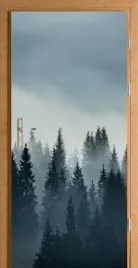 folia-na-drzwi-samoprzylepna-poranny-las-we-mgle