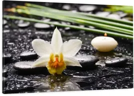 obraz-na-plotnie-120x80-biala-orchidea-kwiat-zen
