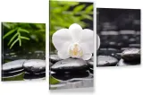 tryptyk-na-plotnie-orchidea-kamienie-zen-spa