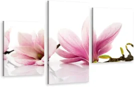 tryptyki-obraz-na-sciane-kwiat-magnolii-max-wybor