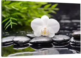 obraz-na-plotnie-120x80-orchidea-kamienie-zen-spa