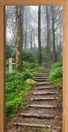 naklejka-fototapeta-na-drzwi-lesna-sciezka-las