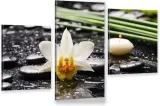tryptyk-na-plotnie-spa-biala-orchidea-kwiat-zen