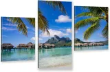 tryptyk-na-plotnie-bora-bora-palmy-ocean