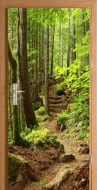 naklejka-fototapeta-na-drzwi-szlak-w-lesie-gorach